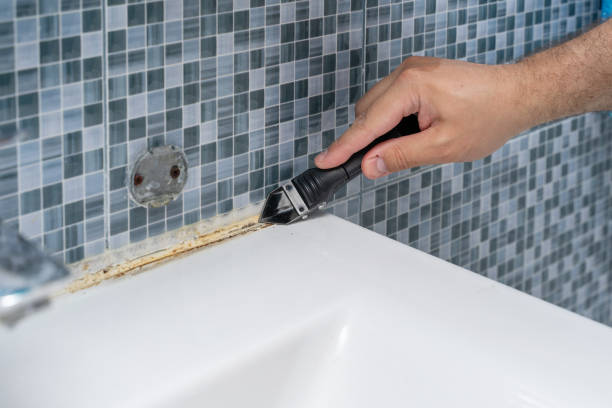 Best Localized Mold Remediation (e.g., coastal areas, humid climates) in Surrey, ND